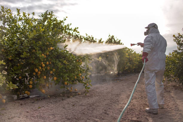 Best Pest Prevention Services  in Water Valley, MS